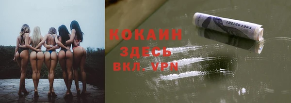 соль ск Горнозаводск